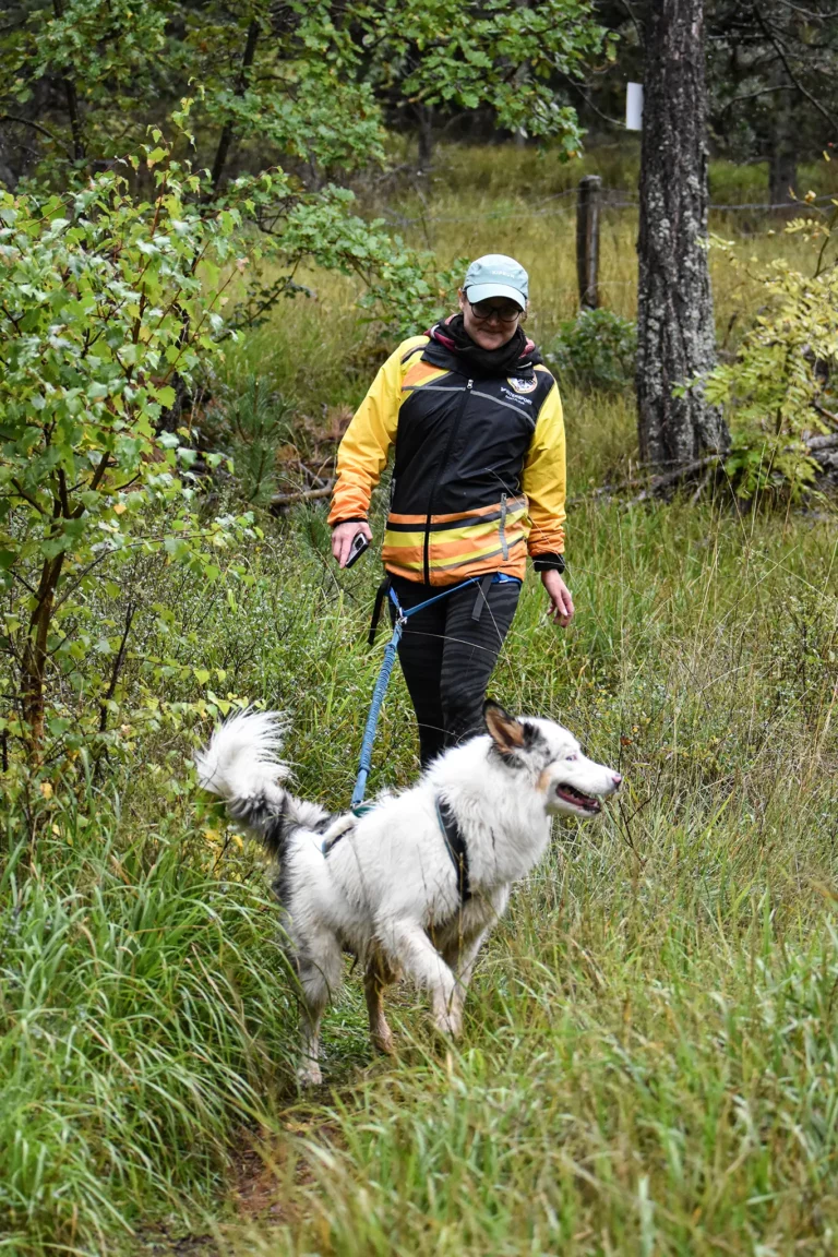 Cani-Parcours - Édition 2025 - Canifun