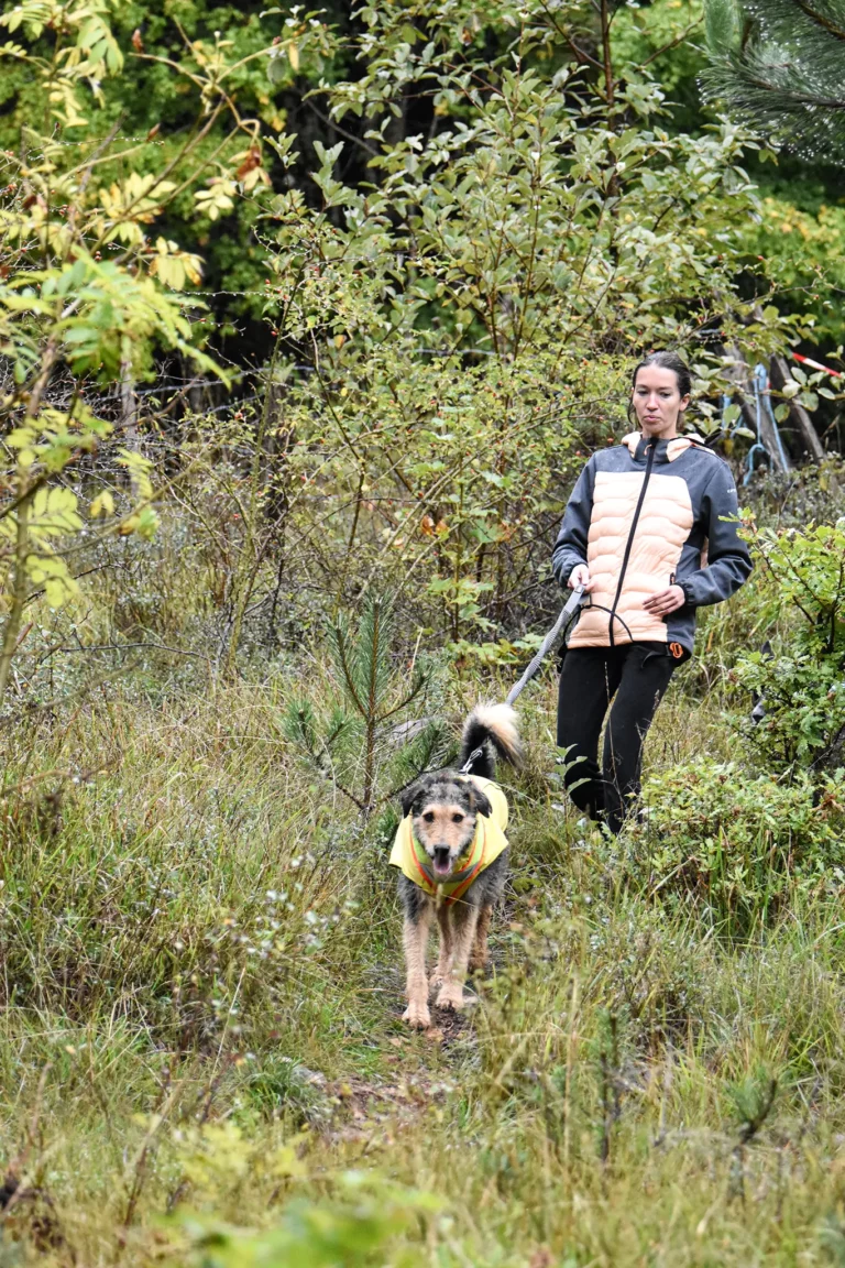 Cani-Parcours - Édition 2025 - Canifun