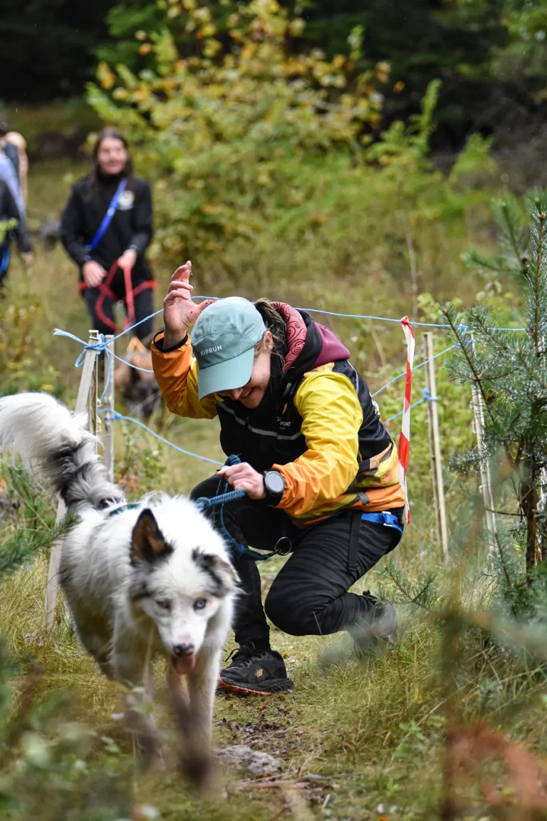 Cani-Parcours - Édition 2025 - Canifun