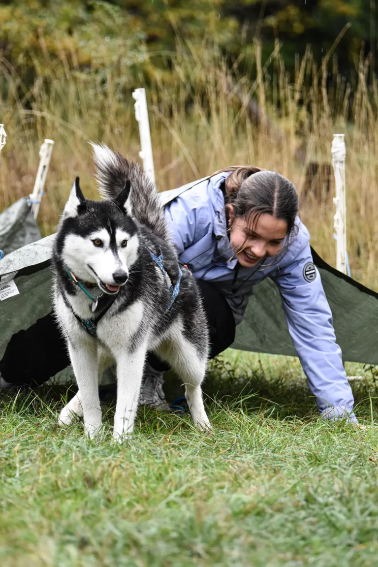 Cani-Parcours - Édition 2025 - Canifun