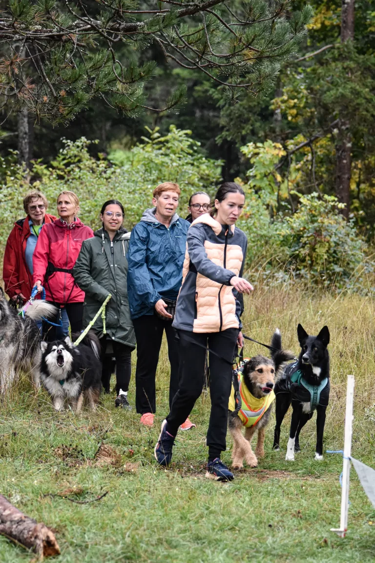 Cani-Parcours - Édition 2025 - Canifun