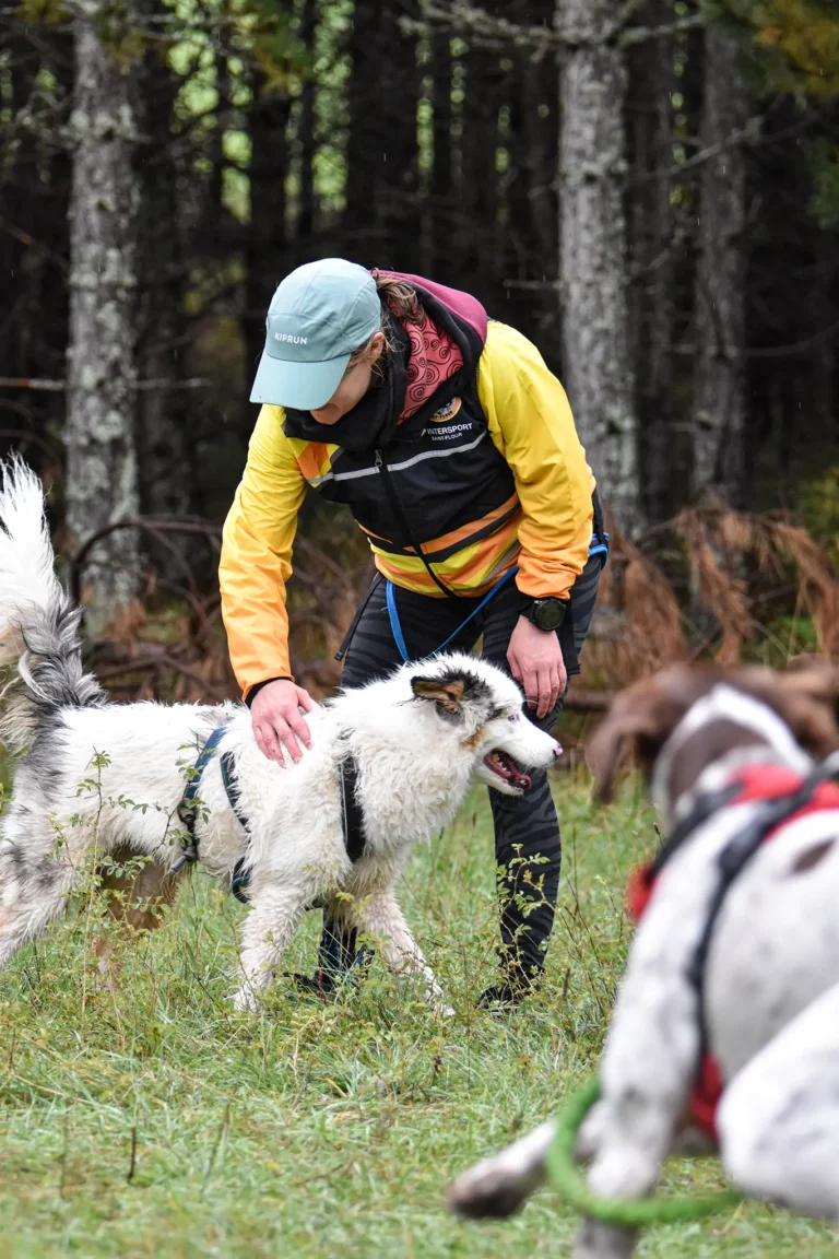 Cani-Parcours - Édition 2025 - Canifun