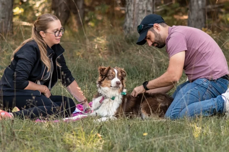 Massage Canin - Édition 2025 - Canifun