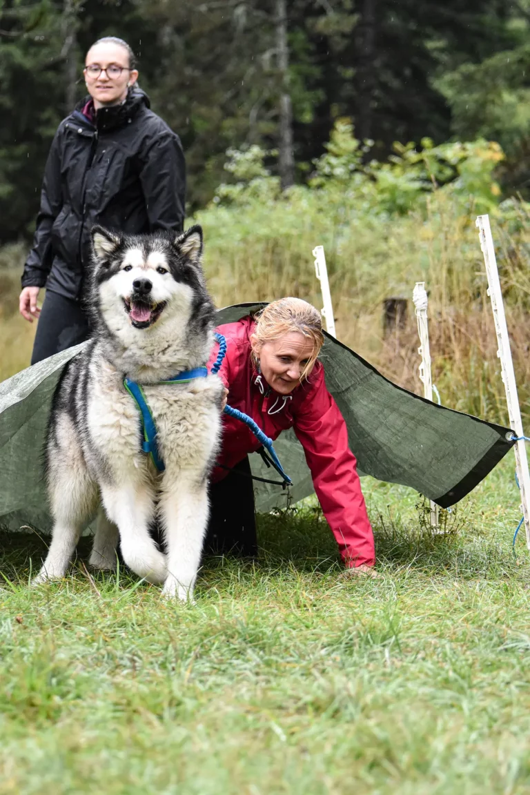 Cani-Parcours - Édition 2025 - Canifun