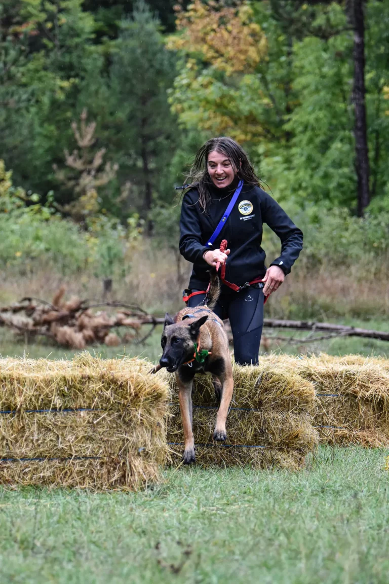 Cani-Parcours - Édition 2025 - Canifun
