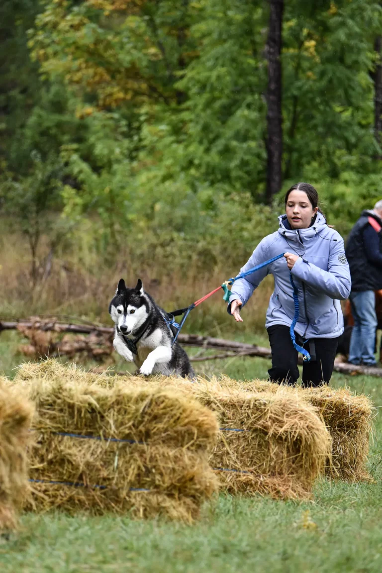 Cani-Parcours - Édition 2025 - Canifun