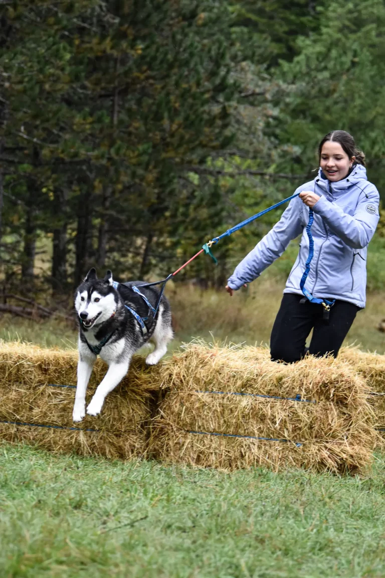 Cani-Parcours - Édition 2025 - Canifun