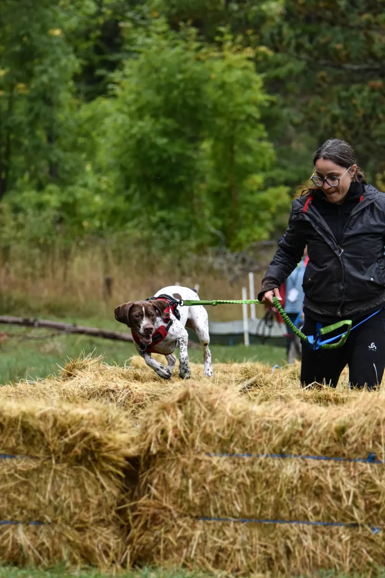 Cani-Parcours - Édition 2025 - Canifun
