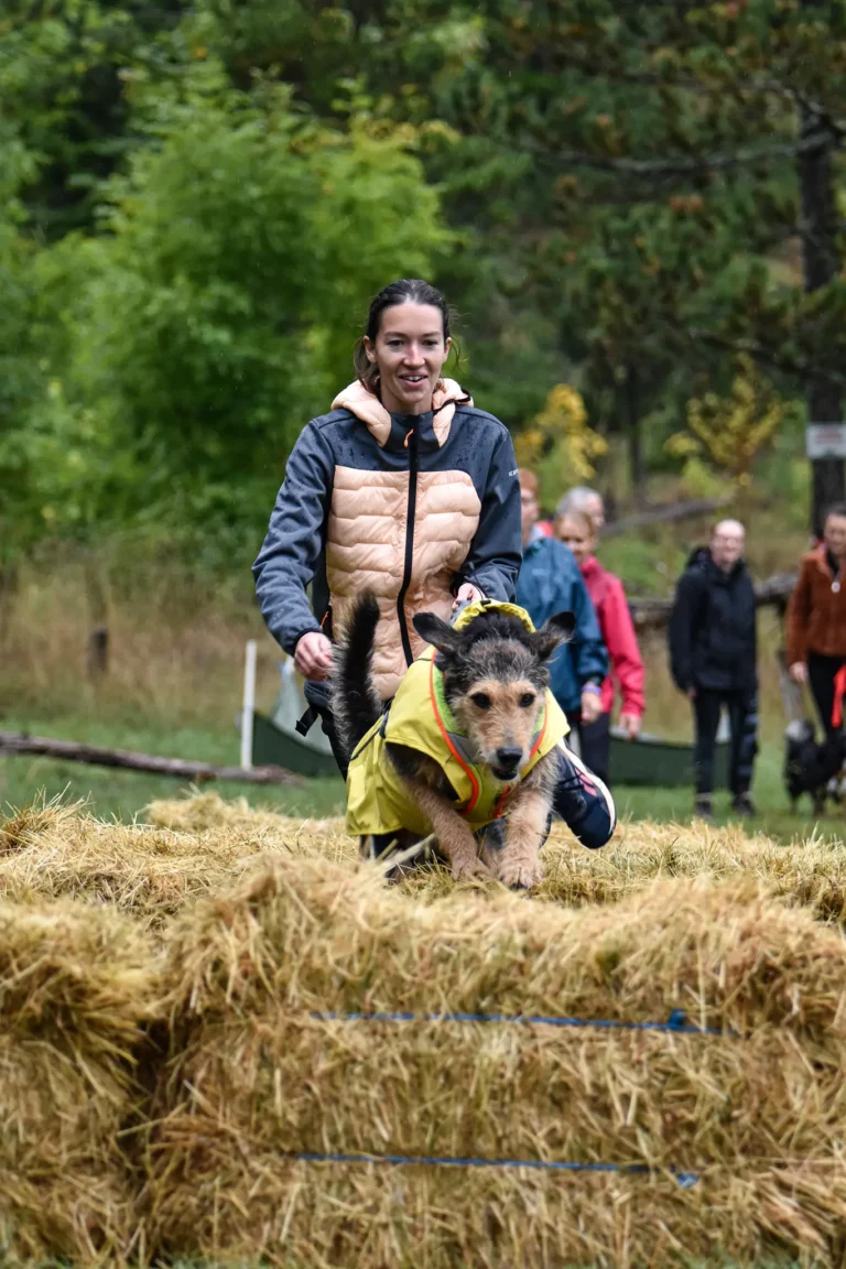 Cani-Parcours - Édition 2025 - Canifun