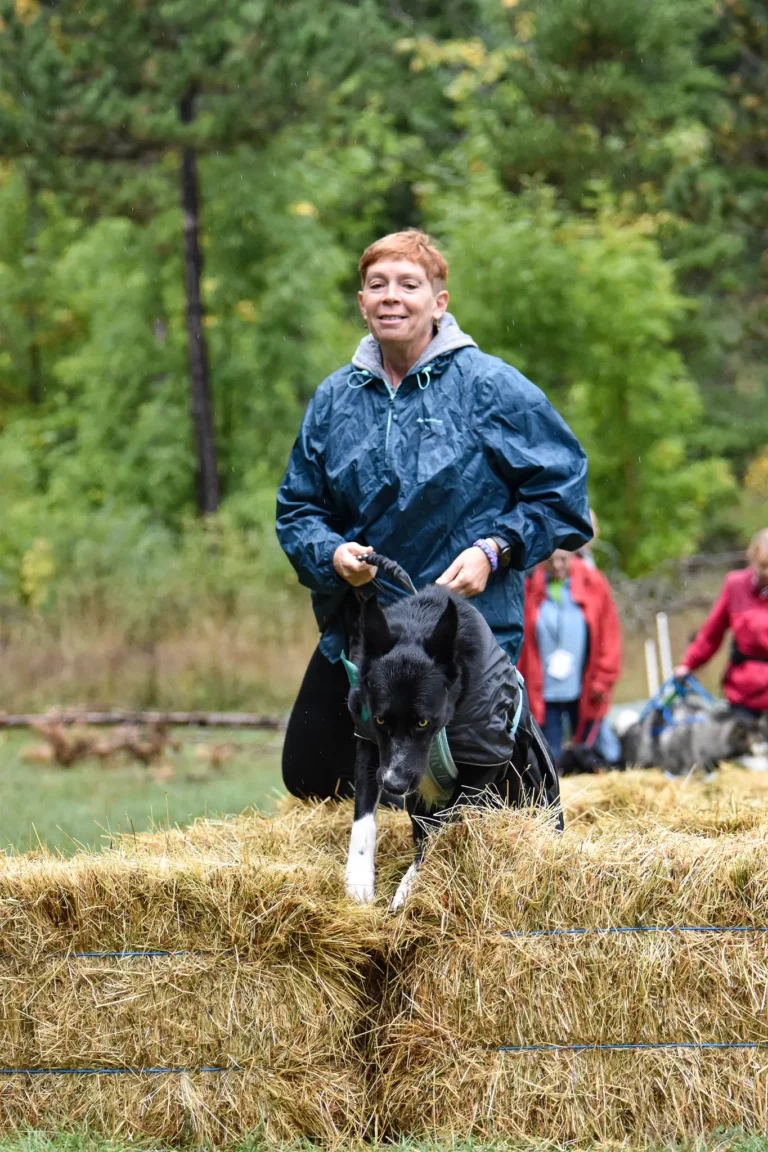 Cani-Parcours - Édition 2025 - Canifun