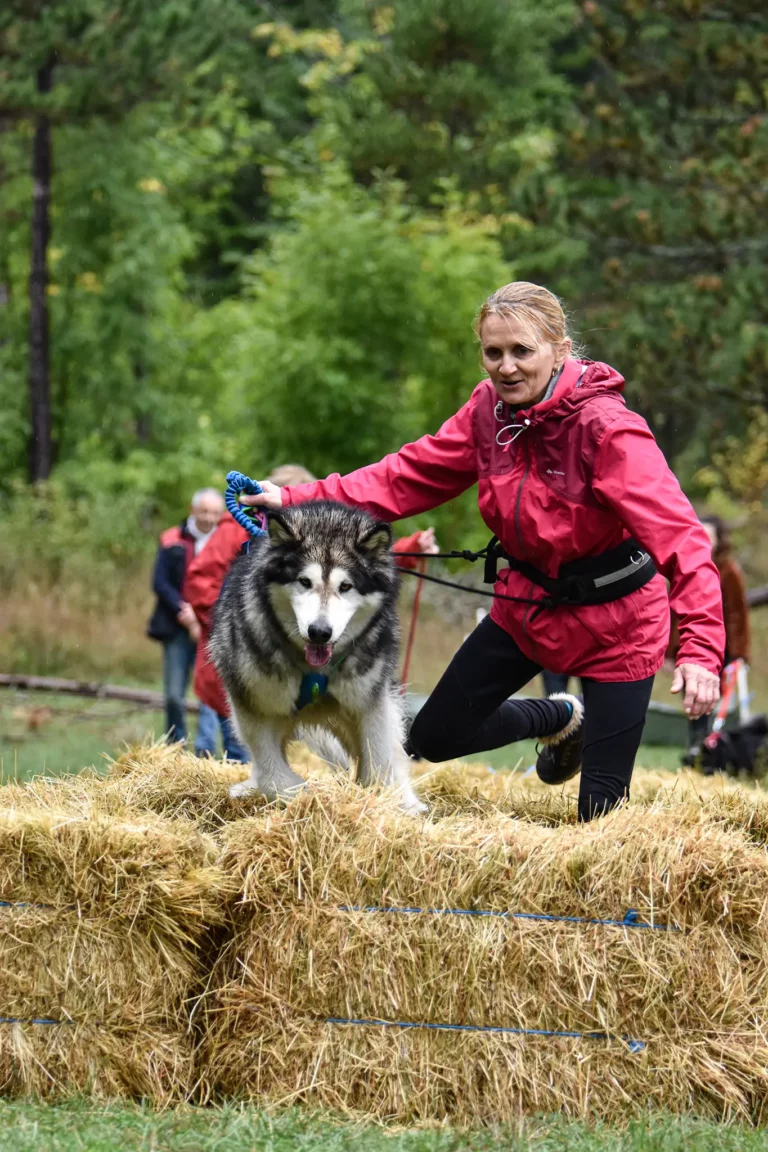 Cani-Parcours - Édition 2025 - Canifun