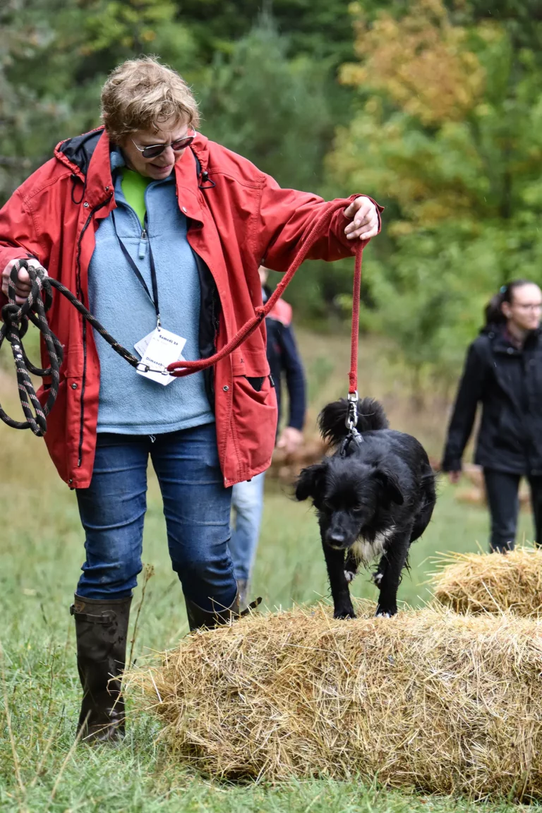Cani-Parcours - Édition 2025 - Canifun