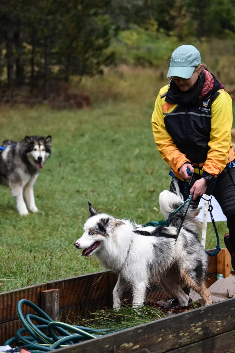 Cani-Parcours - Édition 2025 - Canifun