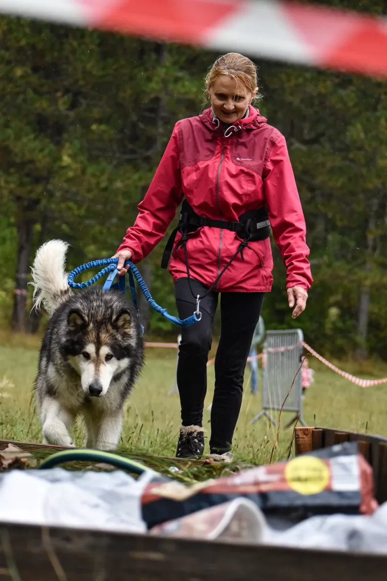 Cani-Parcours - Édition 2025 - Canifun