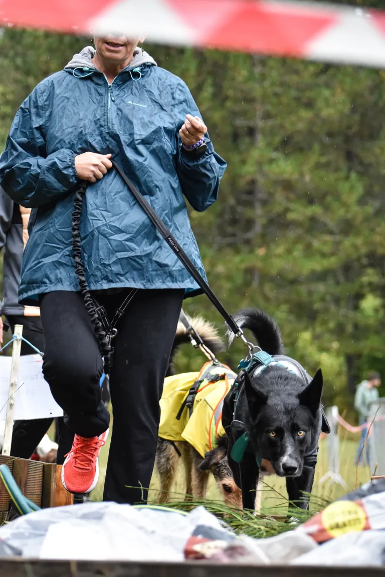 Cani-Parcours - Édition 2025 - Canifun