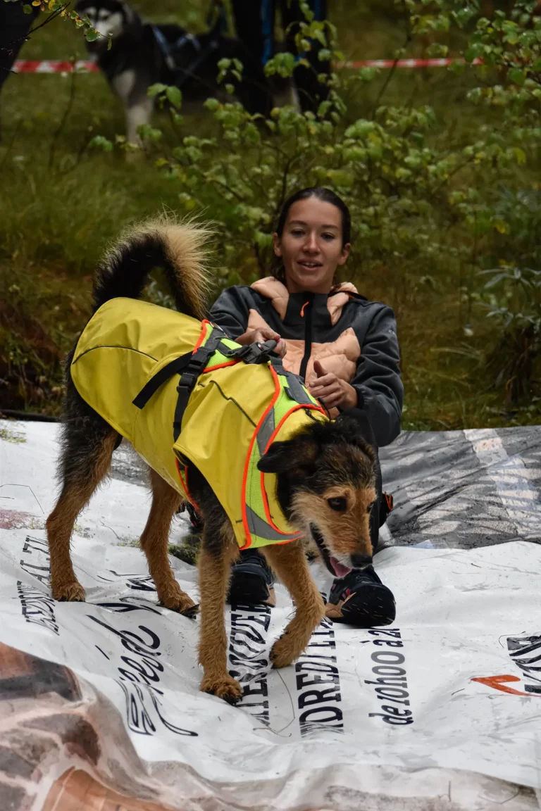 Cani-Parcours - Édition 2025 - Canifun