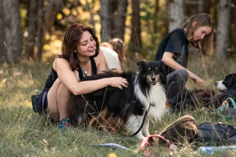 Massage Canin - Édition 2025 - Canifun