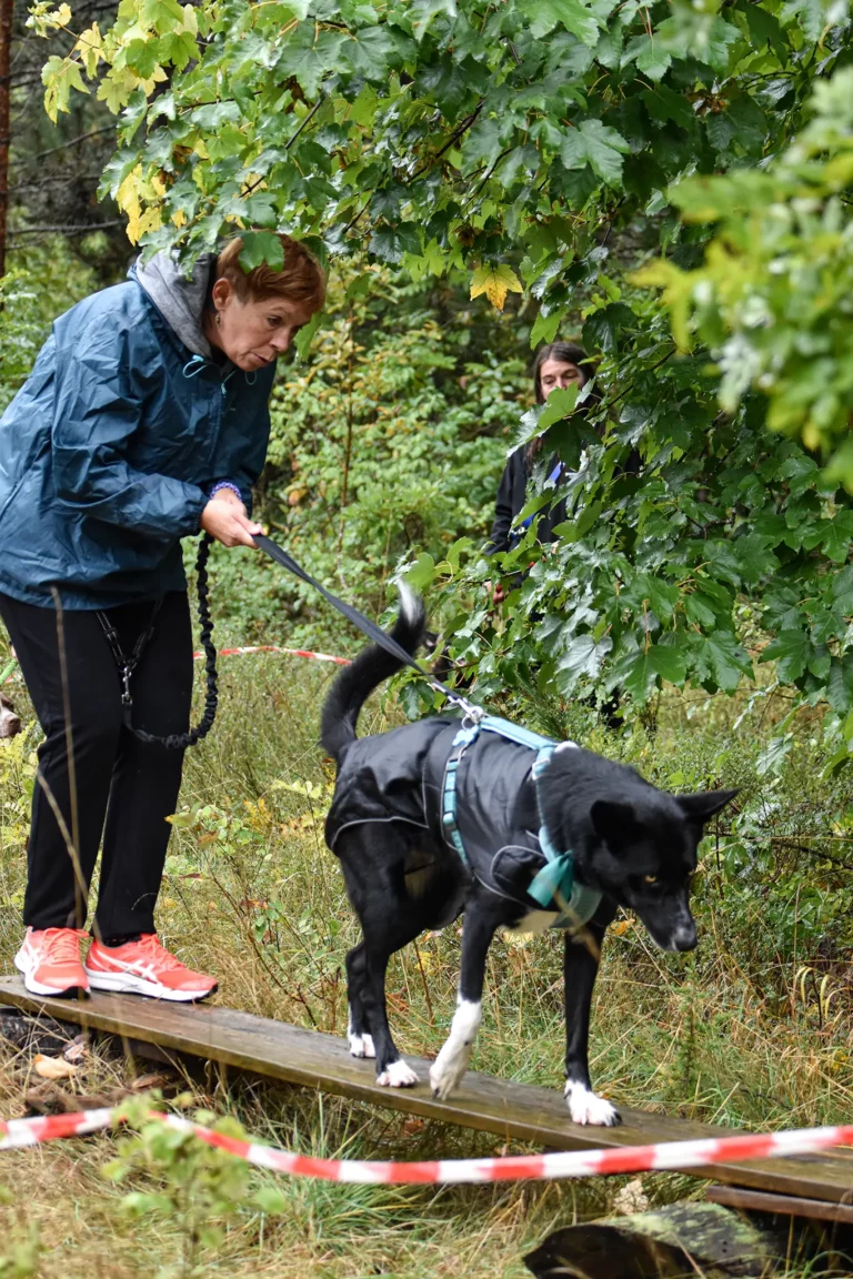 Cani-Parcours - Édition 2025 - Canifun