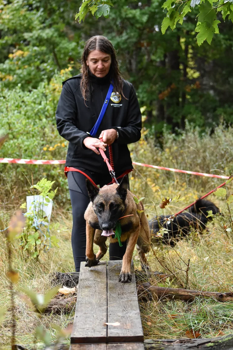 Cani-Parcours - Édition 2025 - Canifun