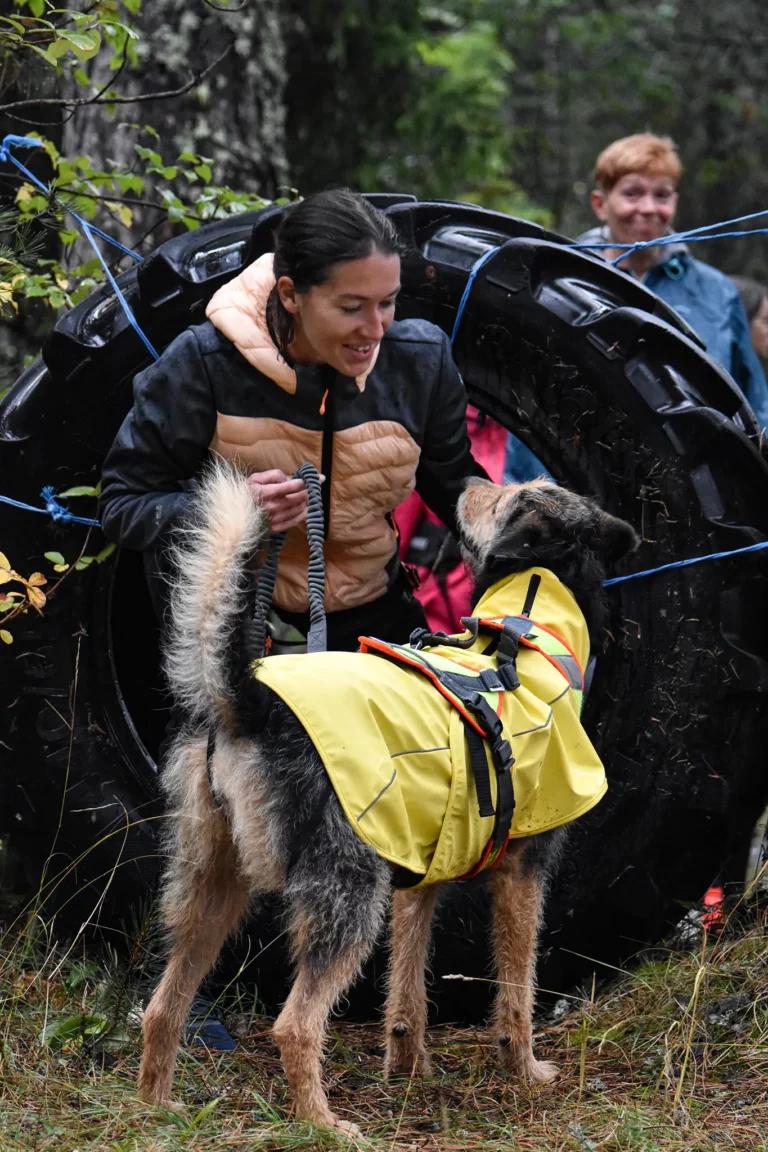 Cani-Parcours - Édition 2025 - Canifun