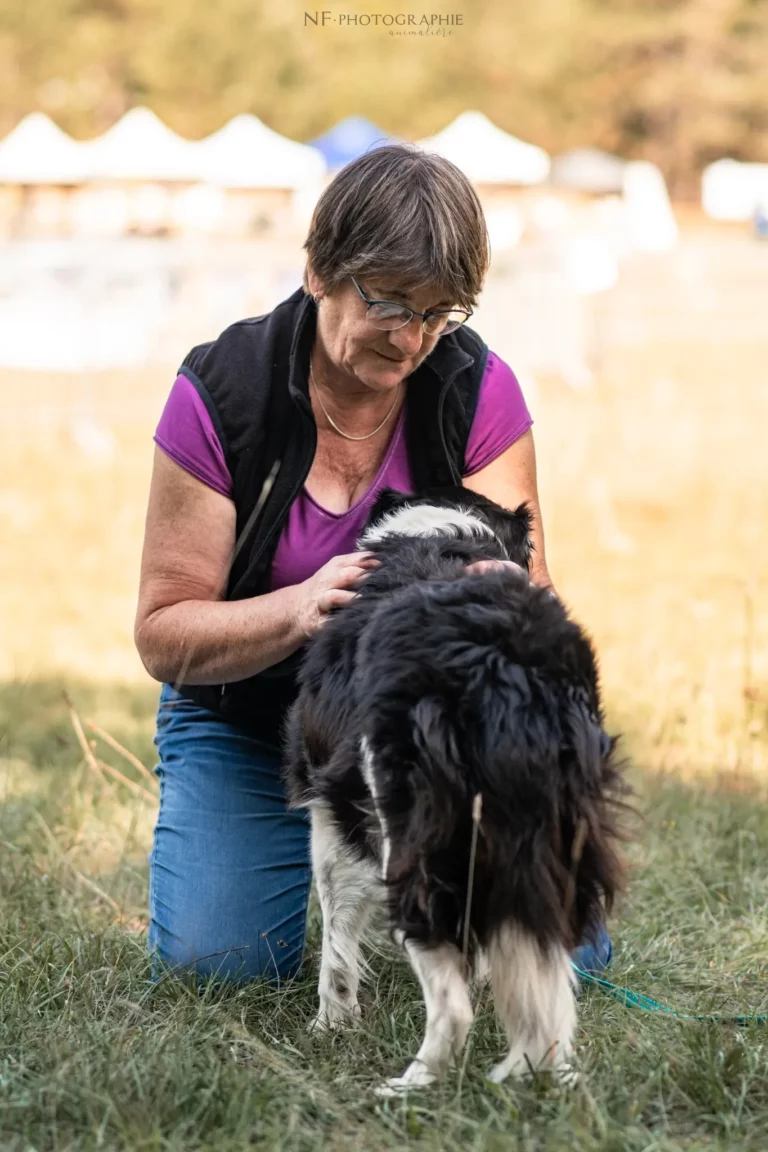 Massage Canin - Édition 2025 - Canifun