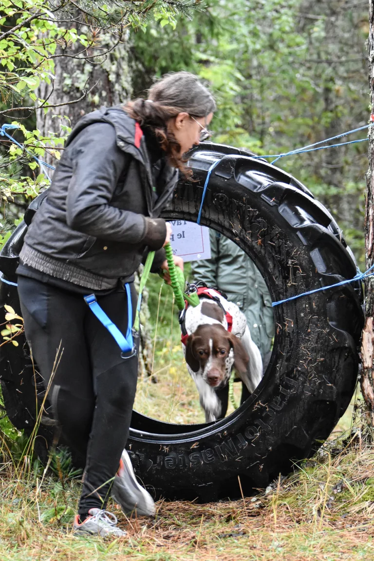 Cani-Parcours - Édition 2025 - Canifun