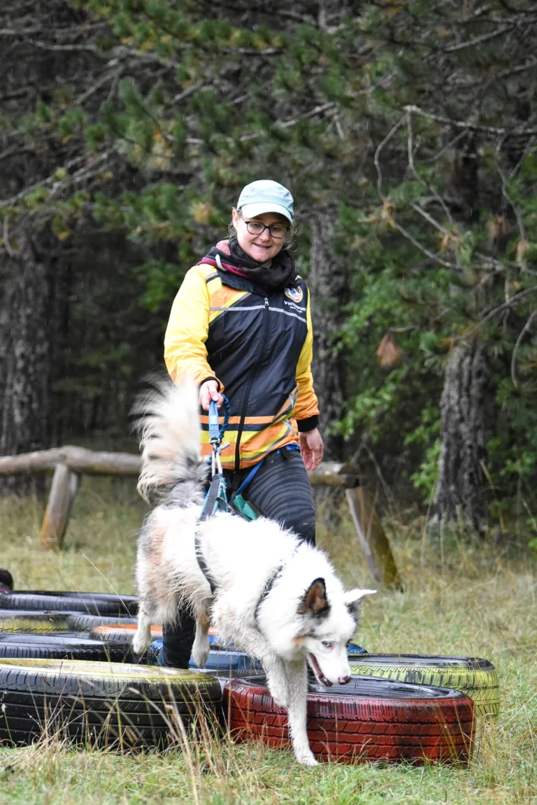 Cani-Parcours - Édition 2025 - Canifun