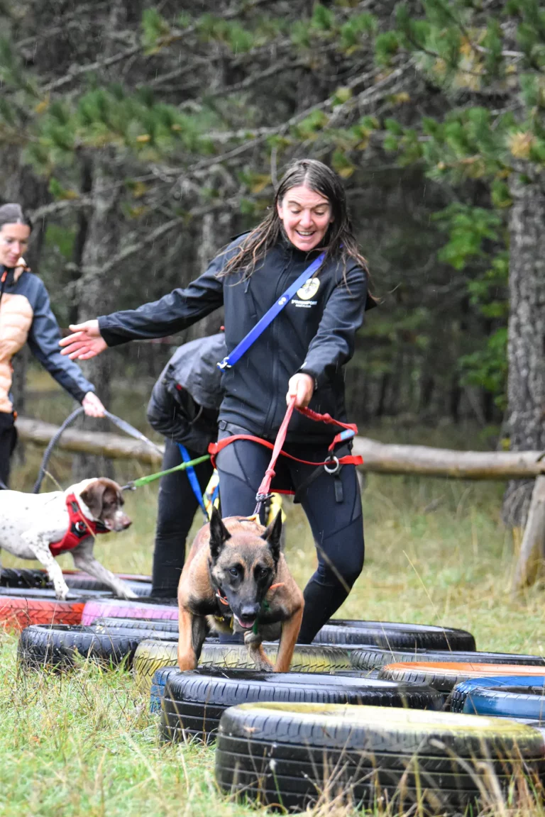 Cani-Parcours - Édition 2025 - Canifun