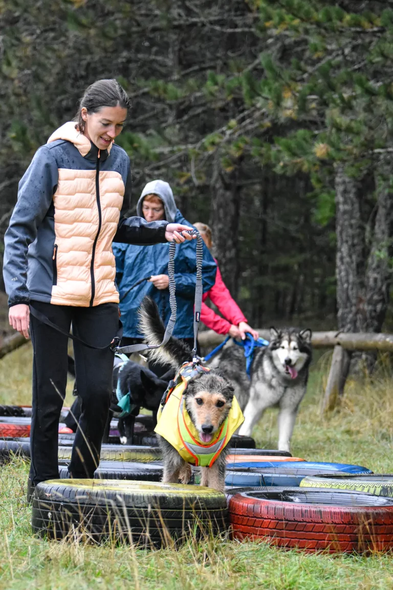 Cani-Parcours - Édition 2025 - Canifun