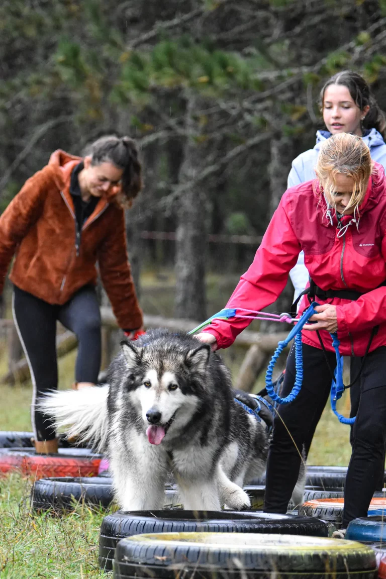 Cani-Parcours - Édition 2025 - Canifun