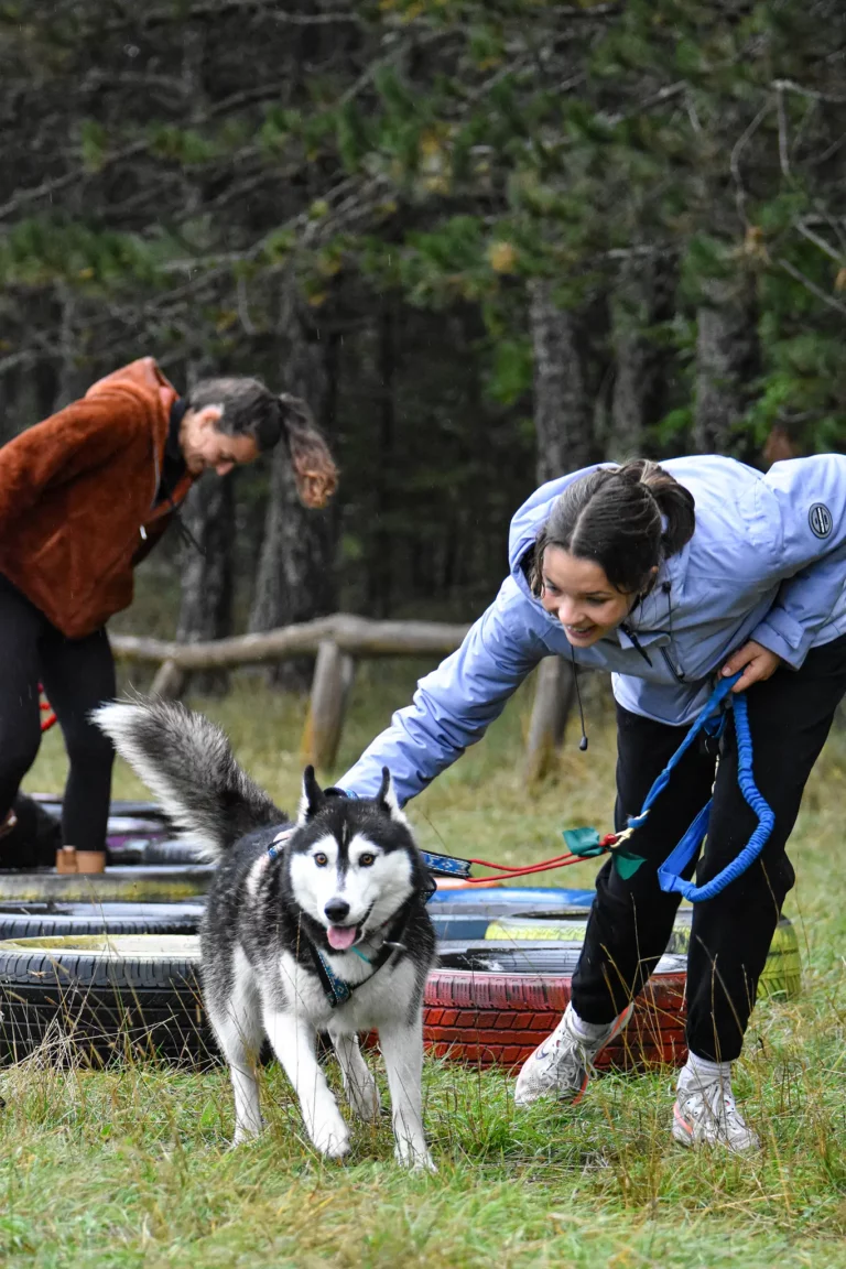 Cani-Parcours - Édition 2025 - Canifun