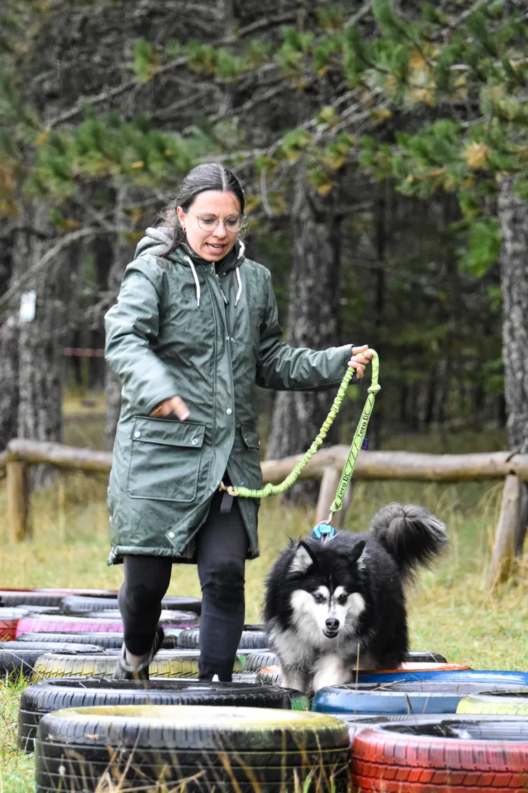 Cani-Parcours - Édition 2025 - Canifun