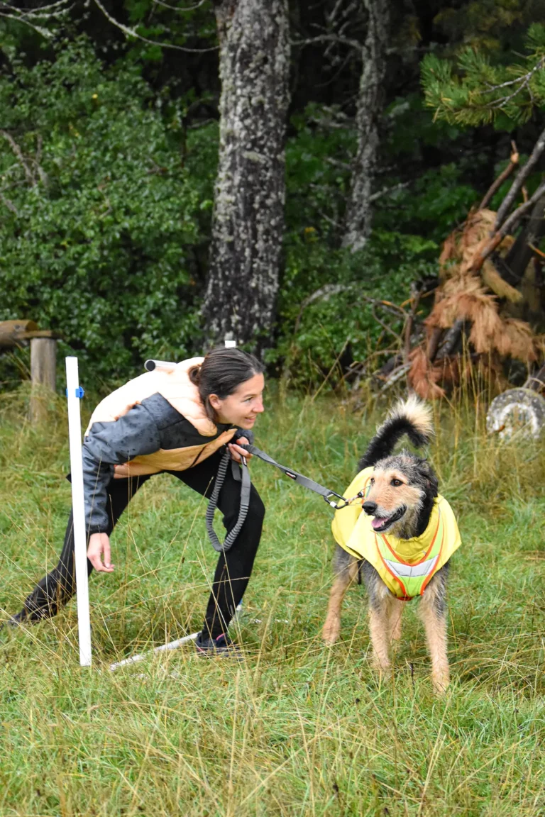 Cani-Parcours - Édition 2025 - Canifun