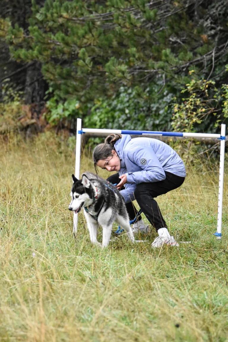Cani-Parcours - Édition 2025 - Canifun