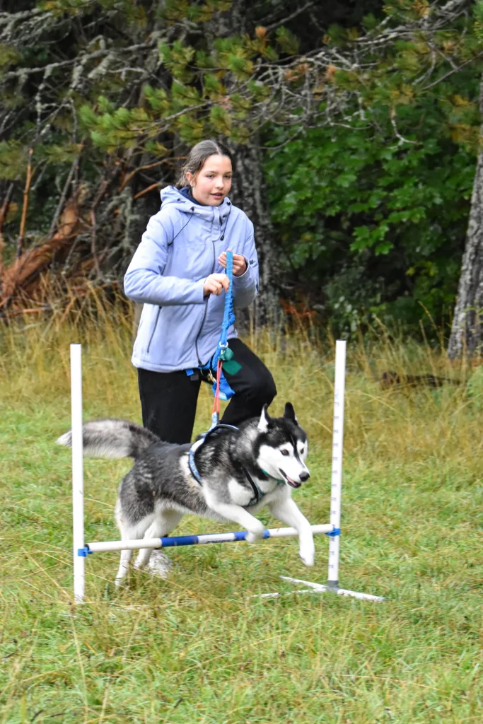 Cani-Parcours - Édition 2025 - Canifun