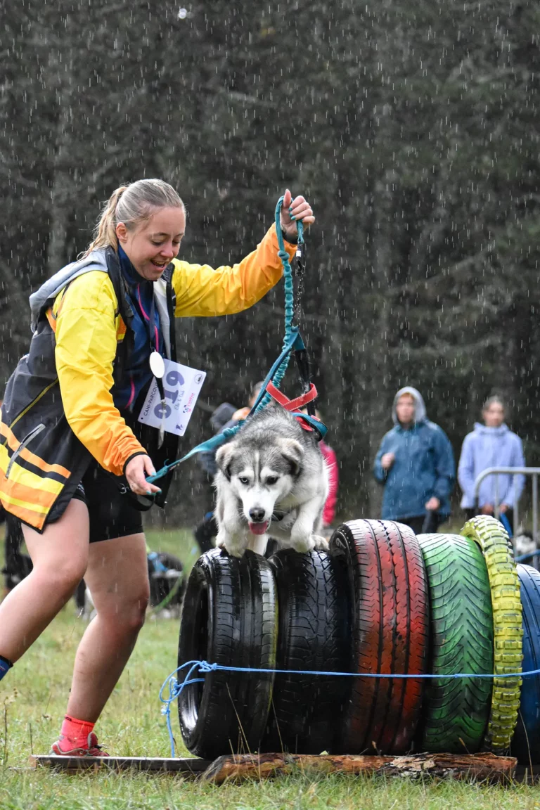 Cani-Parcours - Édition 2025 - Canifun