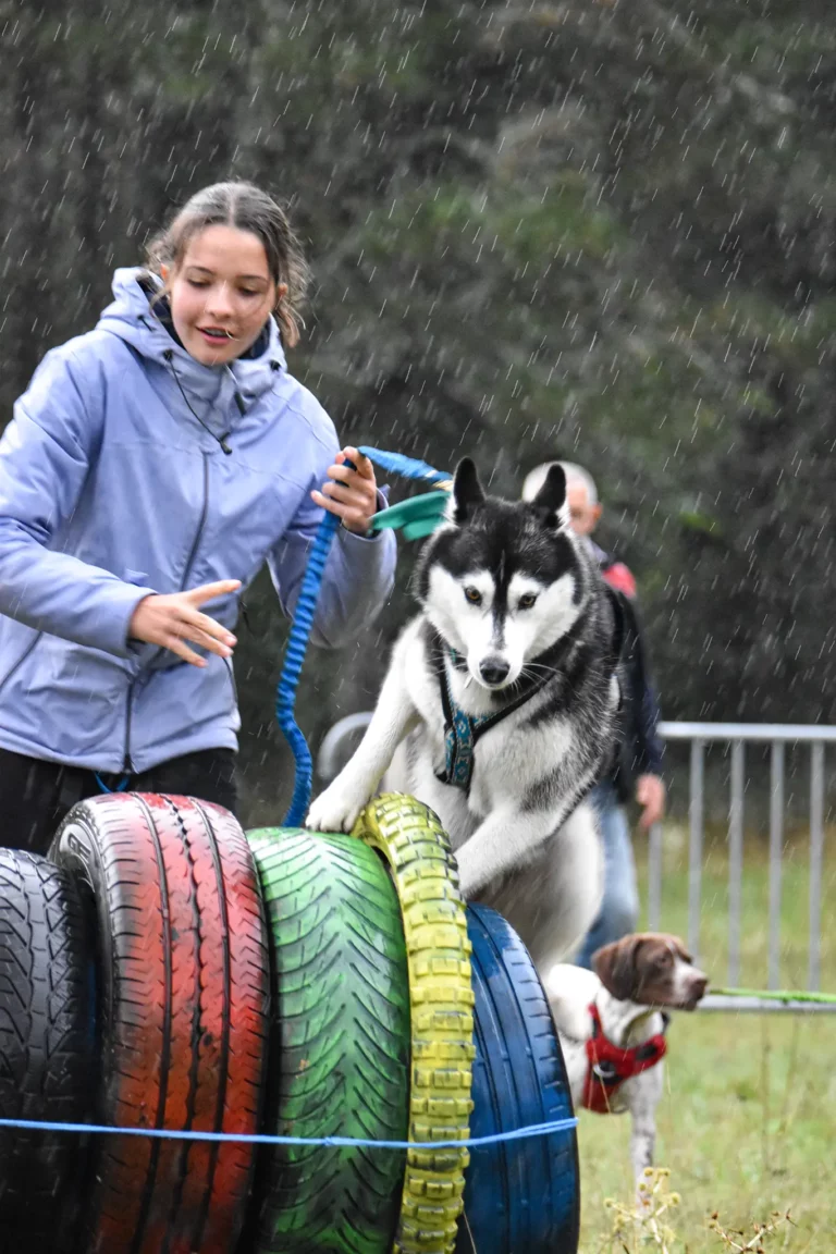 Cani-Parcours - Édition 2025 - Canifun