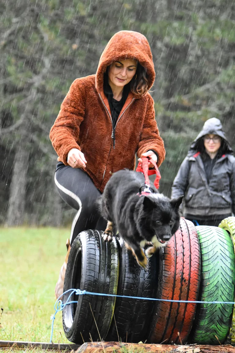 Cani-Parcours - Édition 2025 - Canifun