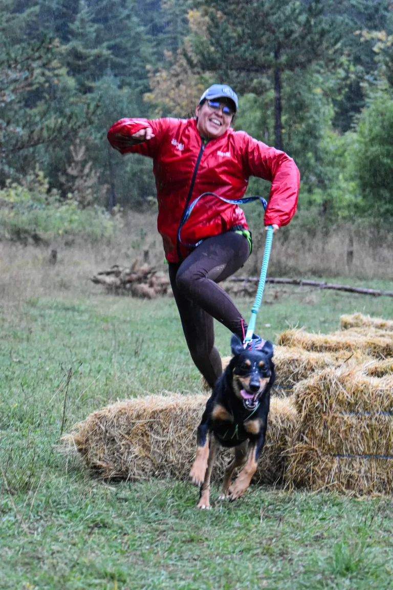 Cani-Parcours - Édition 2025 - Canifun