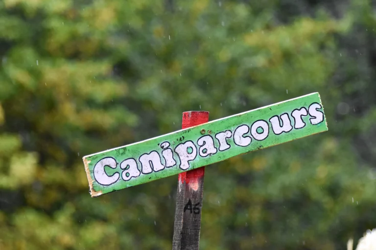 Village - Dimanche - Édition 2025 - Canifun