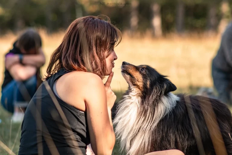 Massage Canin - Édition 2025 - Canifun