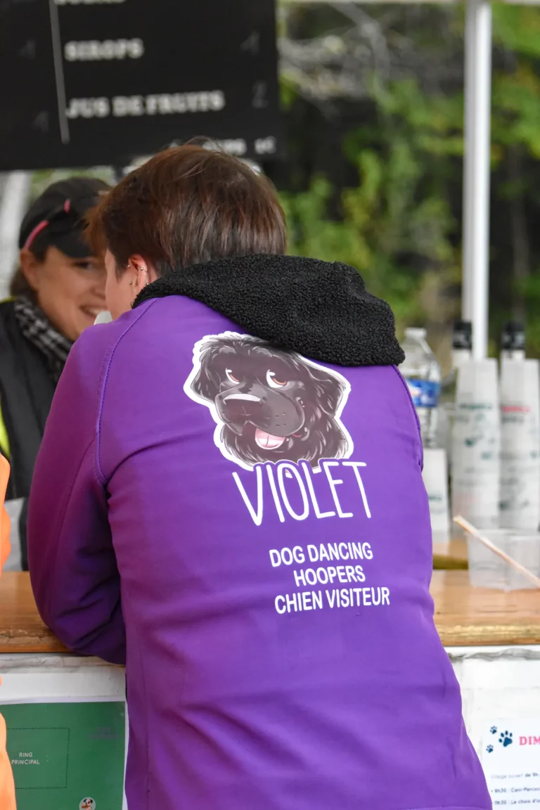 Village - Dimanche - Édition 2025 - Canifun