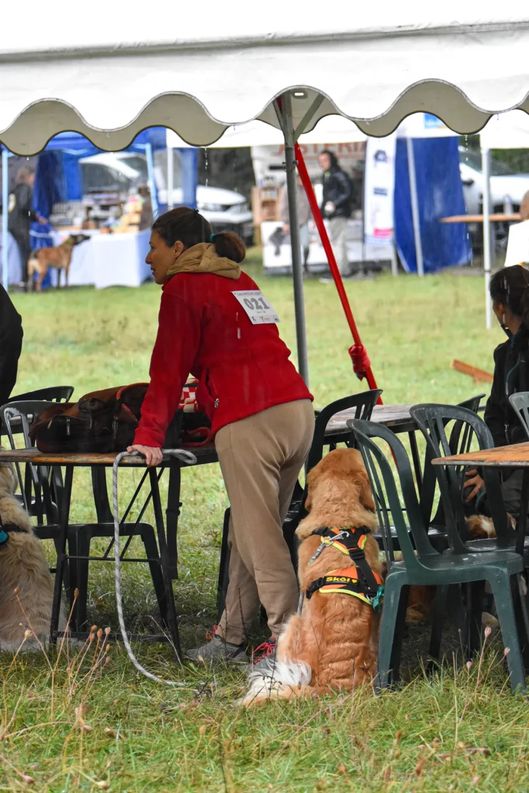 Village - Dimanche - Édition 2025 - Canifun