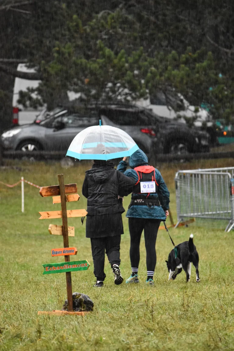 Village - Dimanche - Édition 2025 - Canifun