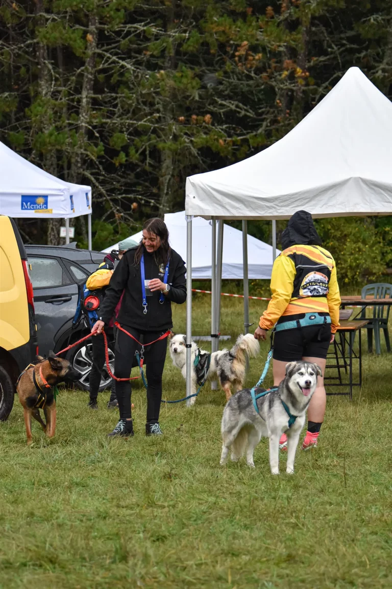 Village - Dimanche - Édition 2025 - Canifun