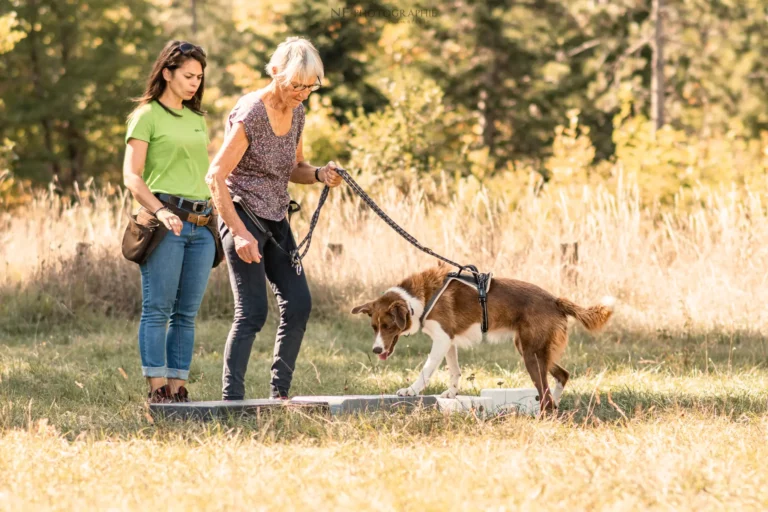 Proprioception - Édition 2025 - Canifun