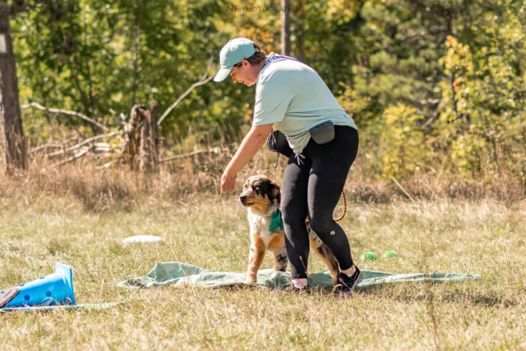 Proprioception - Édition 2025 - Canifun