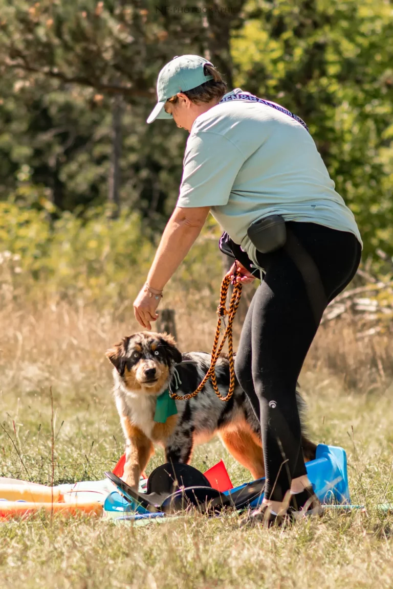 Proprioception - Édition 2025 - Canifun