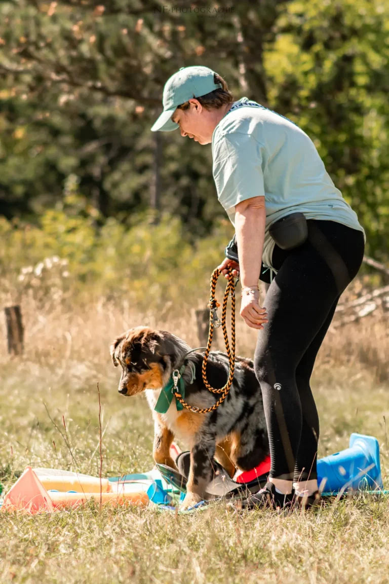 Proprioception - Édition 2025 - Canifun