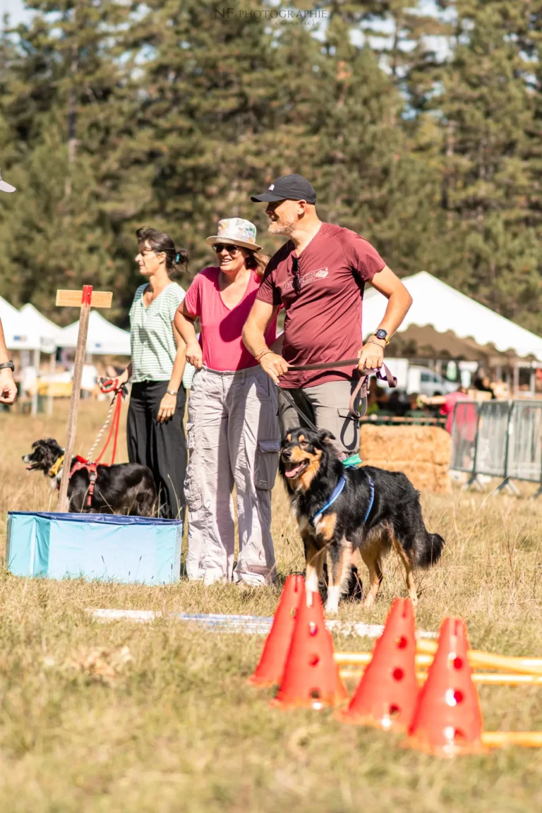 Proprioception - Édition 2025 - Canifun